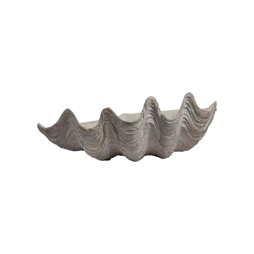 Conchiglio Shell – Small