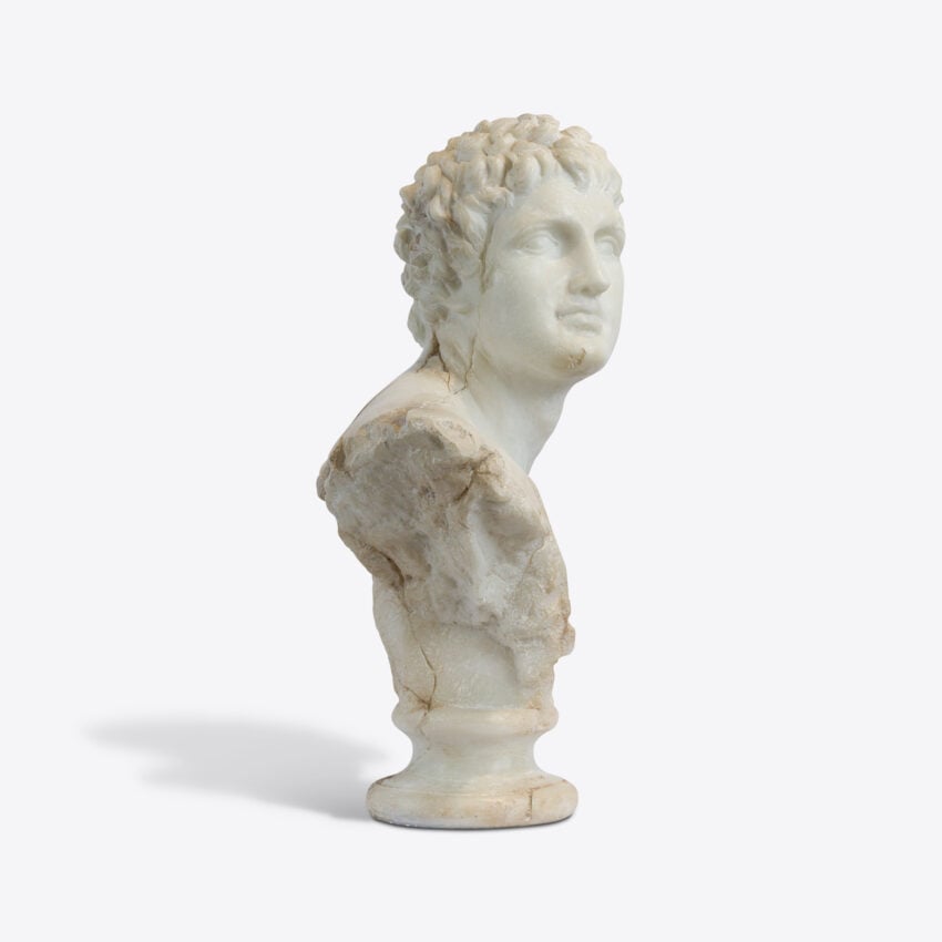 Cosimo Bust Of A Young Apollo