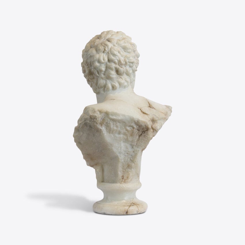 Cosimo Bust Of A Young Apollo