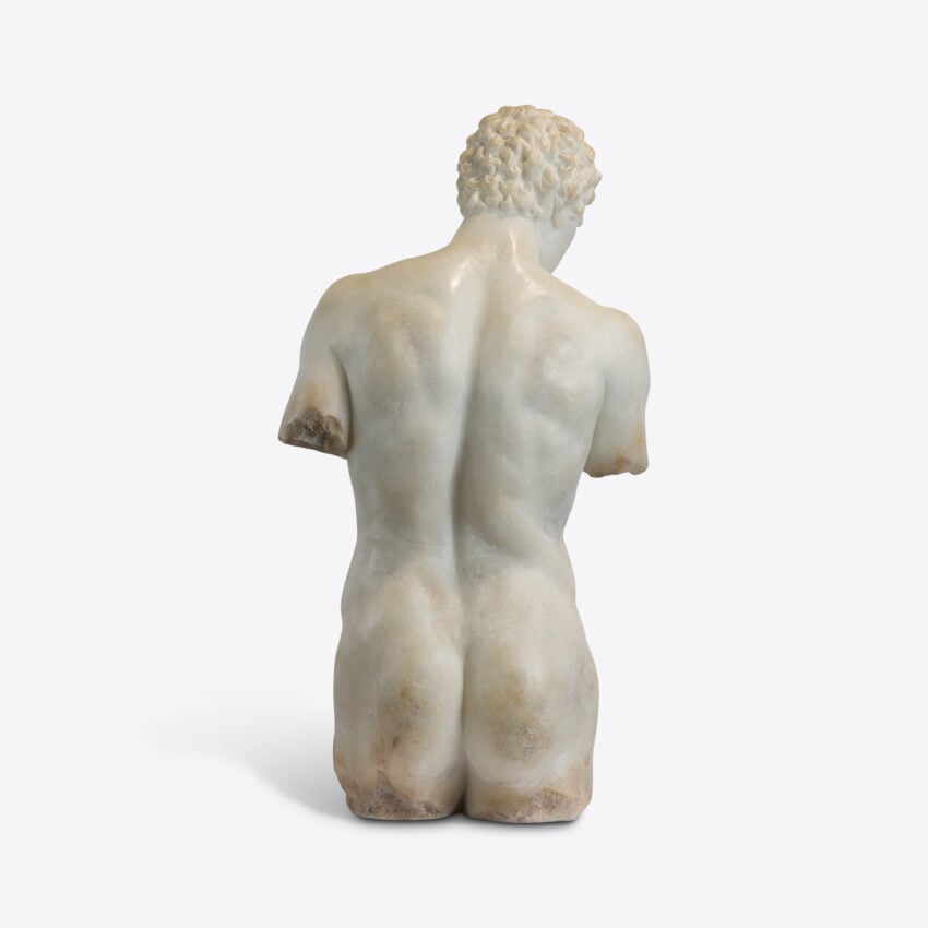 Cosimo Half Torso