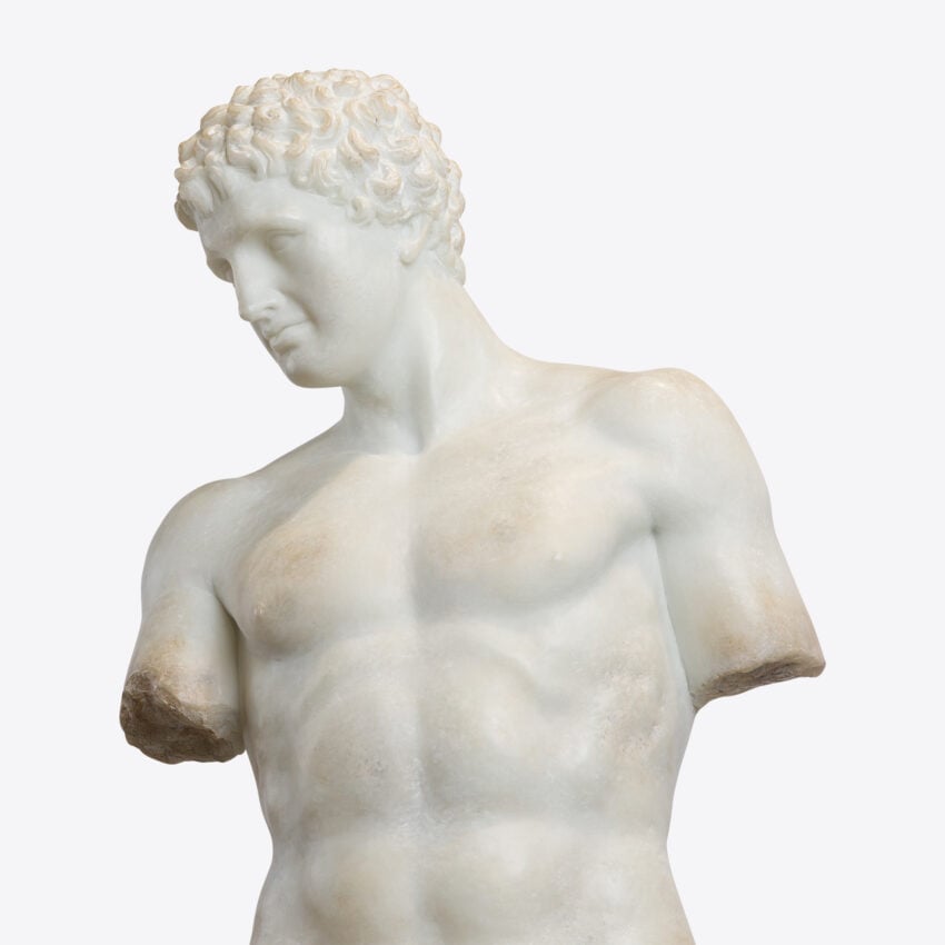 Cosimo Half Torso
