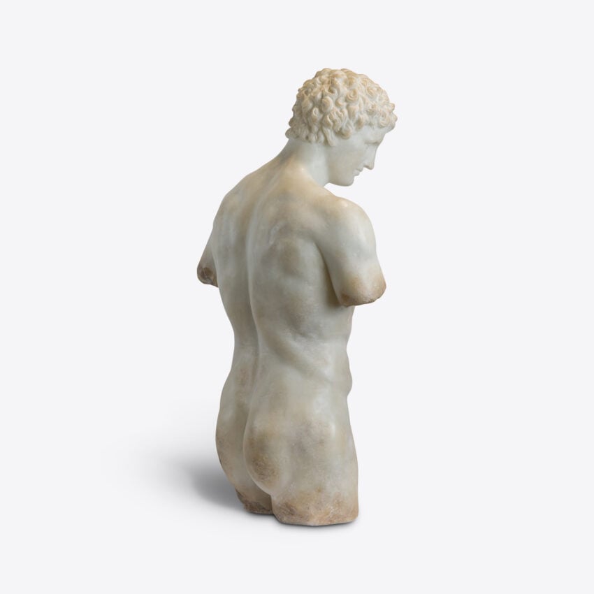 Cosimo Half Torso