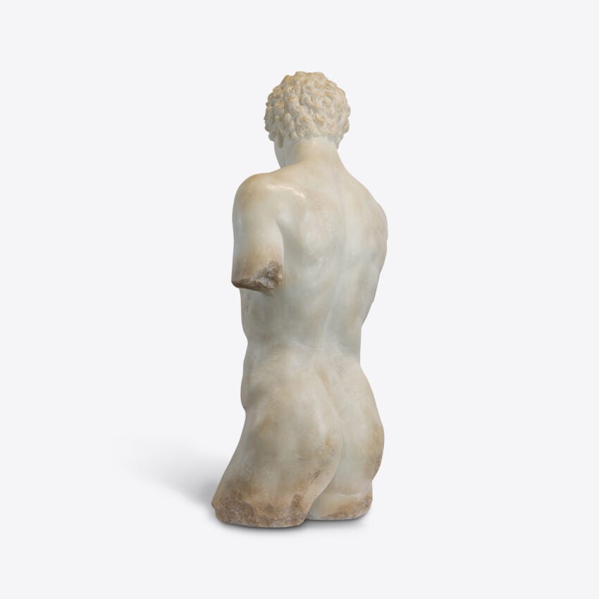 Cosimo Half Torso