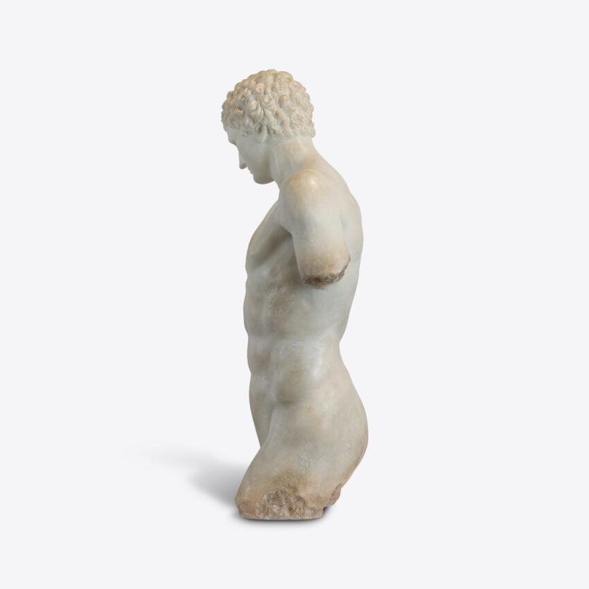 Cosimo Half Torso