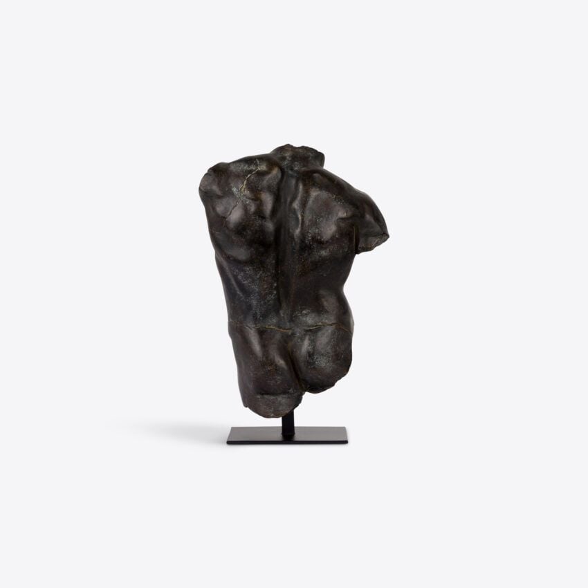 Magnano Small Bronze Torso
