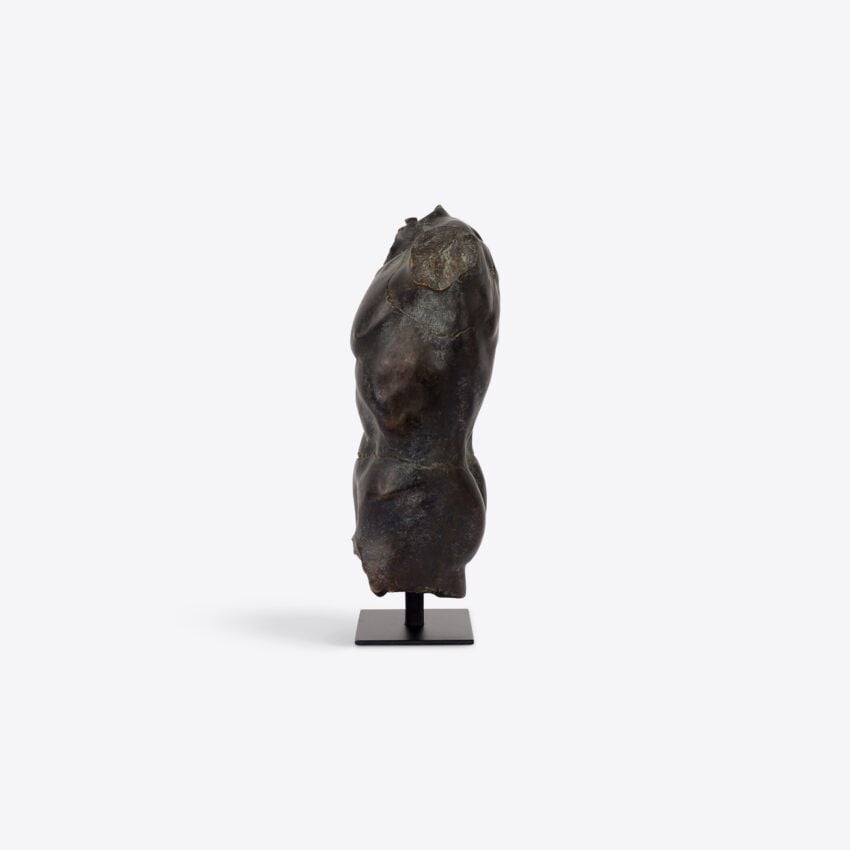 Magnano Small Bronze Torso