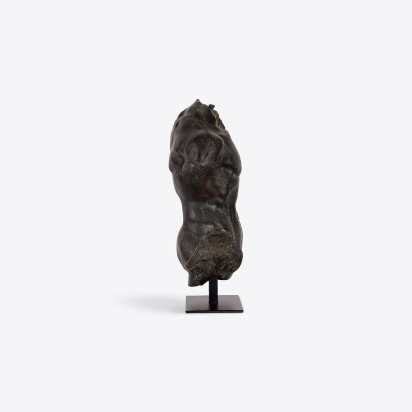 Magnano Small Bronze Torso