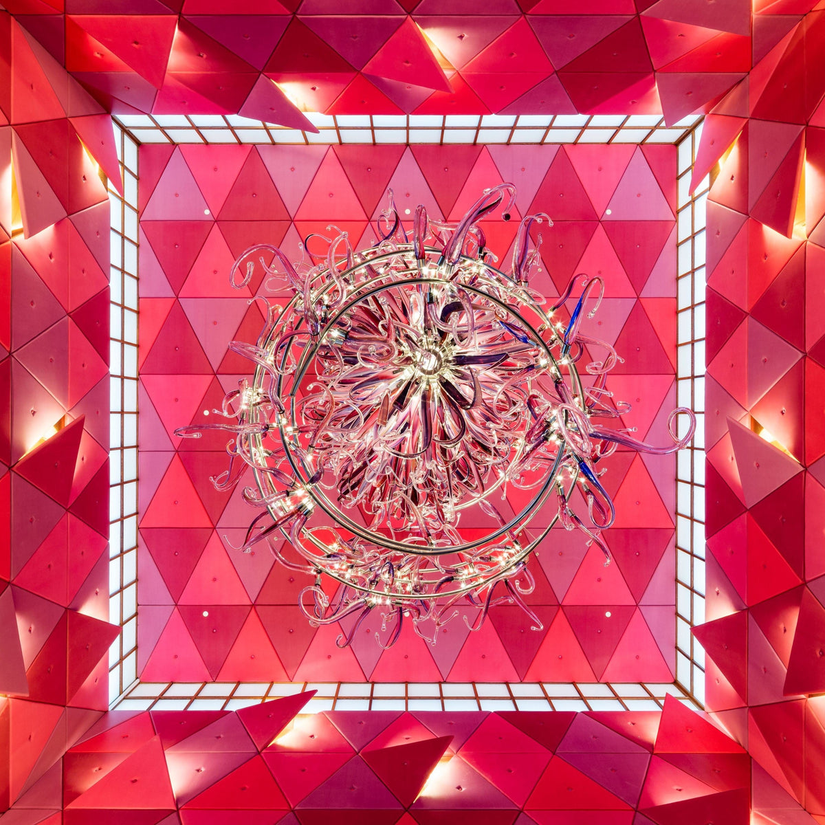 Steel Frame Pink Flower Project Installation project lighting studio view
