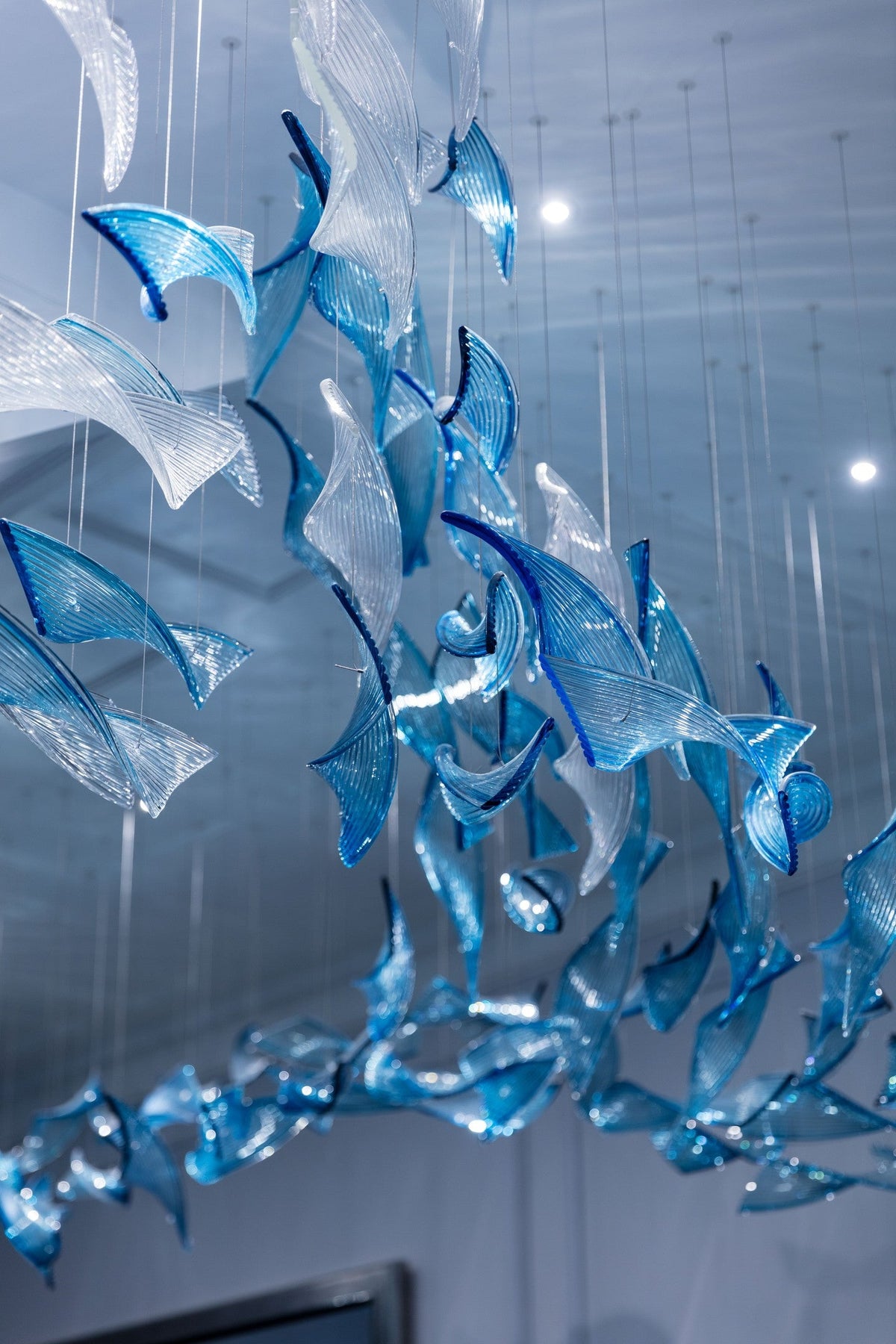 Floating Fin Project Installation chandelier view 2