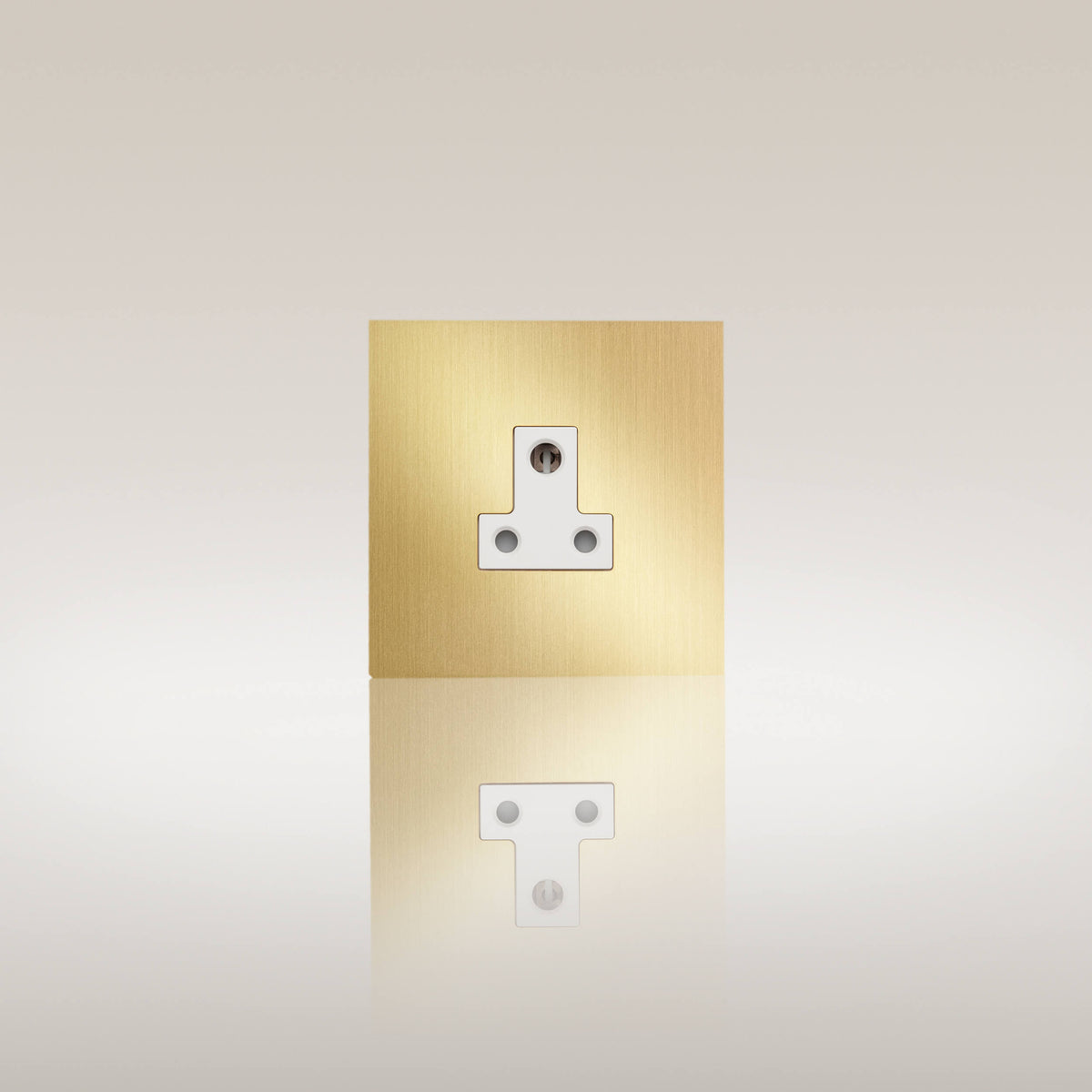 Renaissance 5A Socket architectural switches view 2