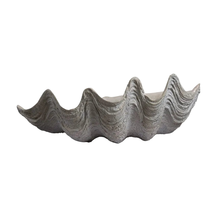 Conchiglio Shell – Medium