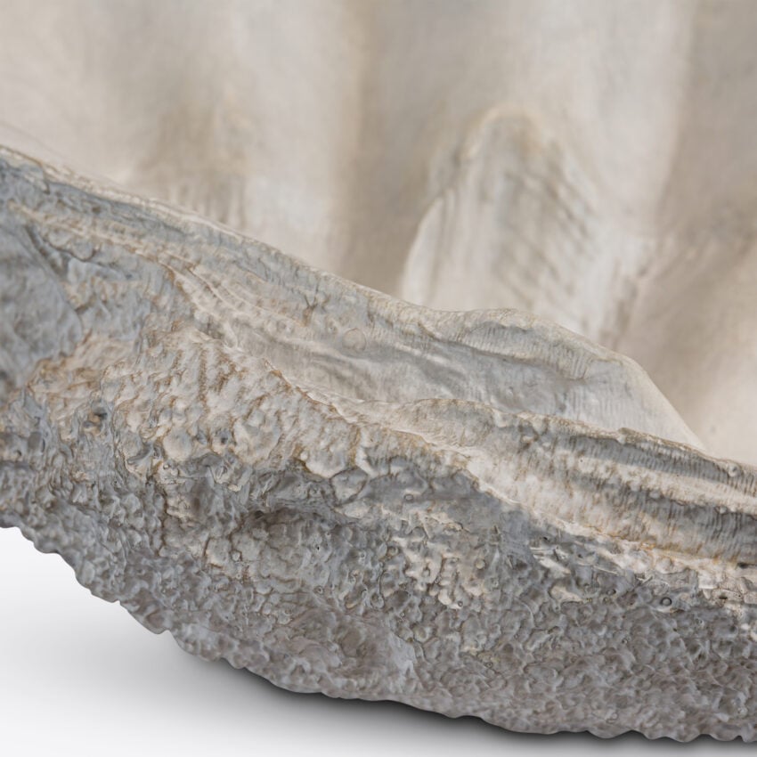 Conchiglio Shell – Medium