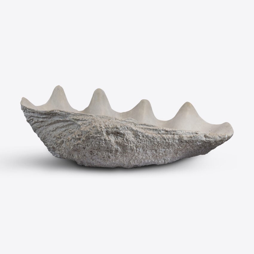 Conchiglio Shell – Medium