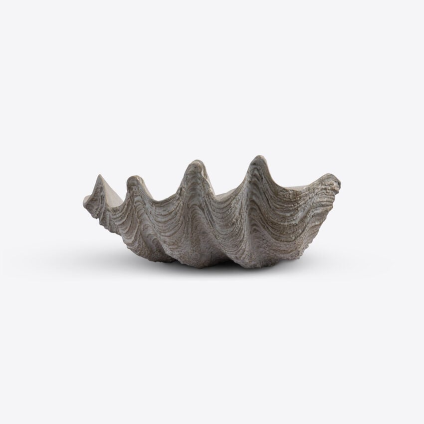 Conchiglio Shell – Small