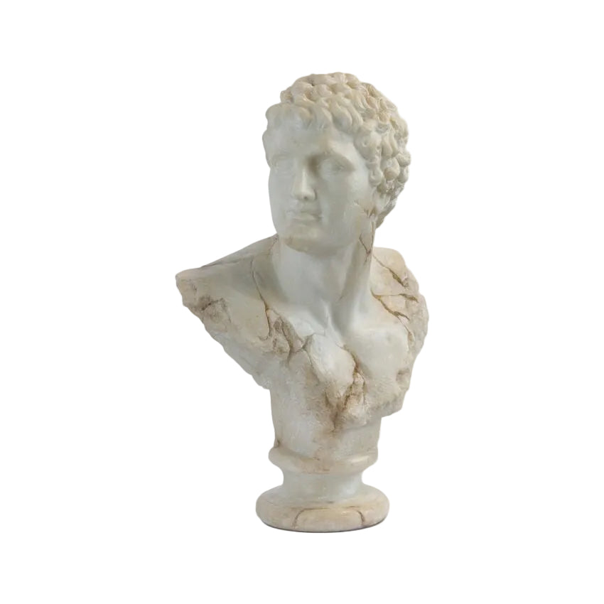 Cosimo Bust Of A Young Apollo