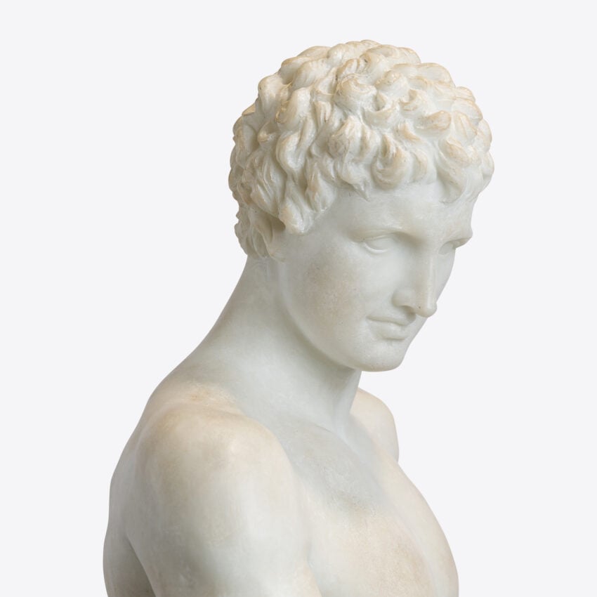 Cosimo Half Torso