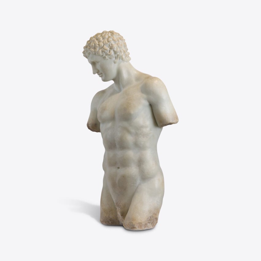 Cosimo Half Torso
