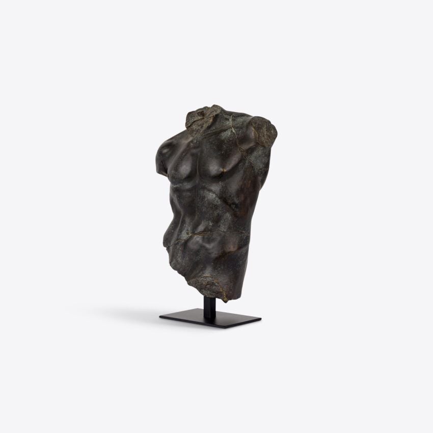 Magnano Small Bronze Torso