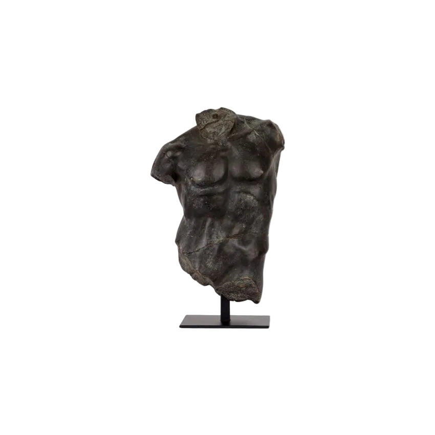 Magnano Small Bronze Torso